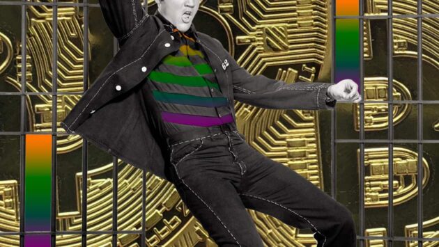 cryptocurrency wordpress plugins